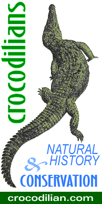 i am a hungry alligator
